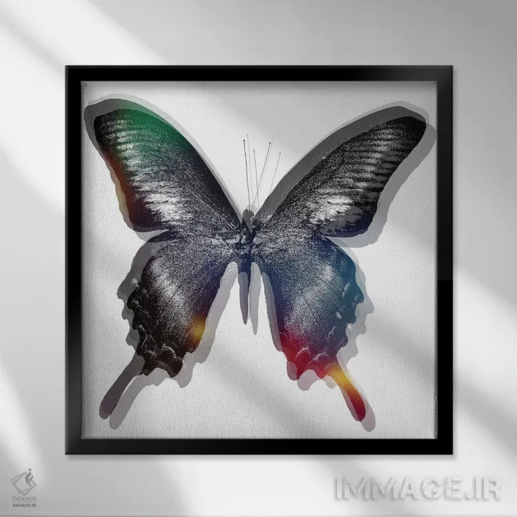 تابلو پروانه ۲ اثر آرت میرانو - نمای قابدار مشکی