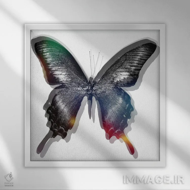 تابلو پروانه ۲ اثر آرت میرانو - نمای قابدار سفید