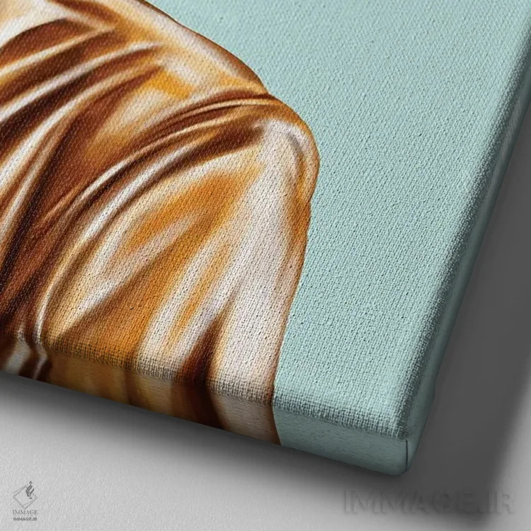 تابلو پرنسس دایانا (Lady Diana) اثر امت شیمونی - نمای نزدیک بافت بوم