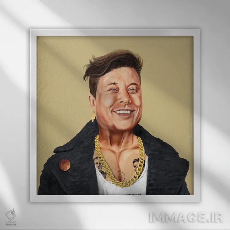 تابلو ایلان ماسک (کارآفرین) اثر امت شیمونی - نمای قابدار سفید