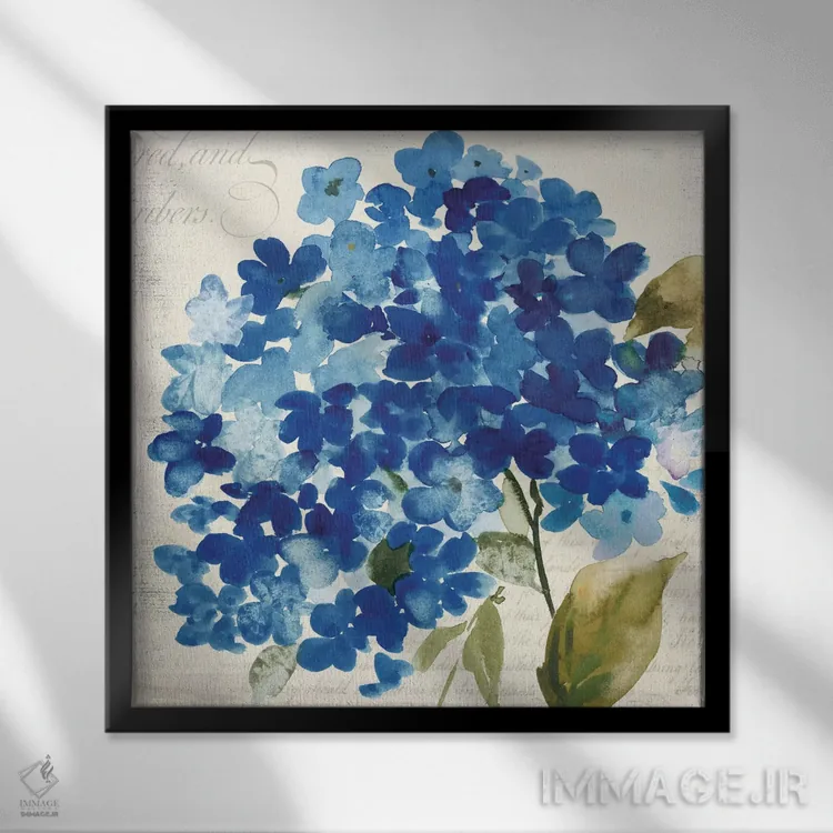 تابلو هورتانسیا همپتون II اثر آسیا جنسن - نمای قابدار مشکی