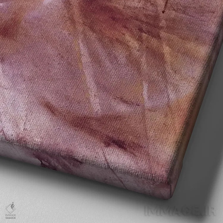 تابلو Seagull And Jana,کبوتر، مرغ دریایی و جانا اثر آنت شموکر - نمای نزدیک بافت بوم