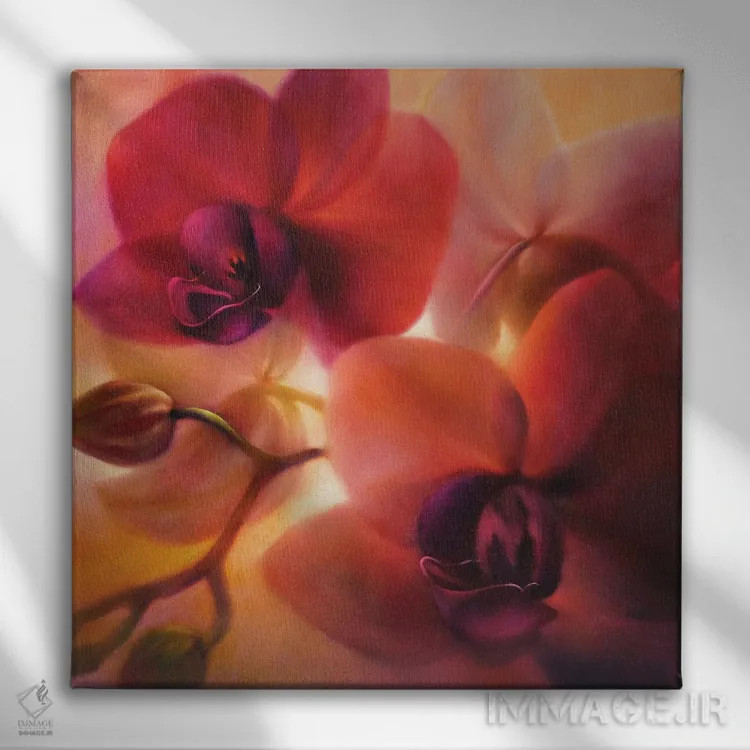 تابلو ارکیدهها اثر آنت شموکر - نمای روبهرو روی دیوار