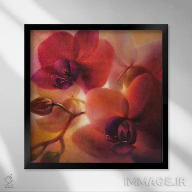 تابلو ارکیدهها اثر آنت شموکر - نمای قابدار مشکی