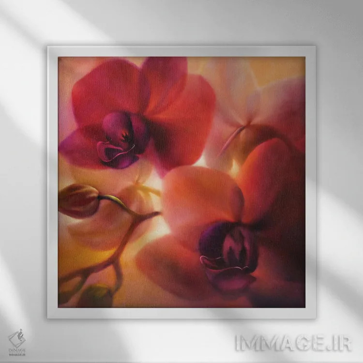 تابلو ارکیدهها اثر آنت شموکر - نمای قابدار سفید