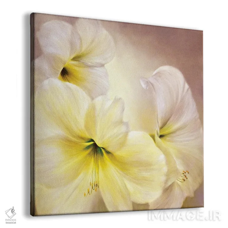 تابلو آمارلیس سفید اثر آنت شموکر - نمای پرسپکتیو محصول