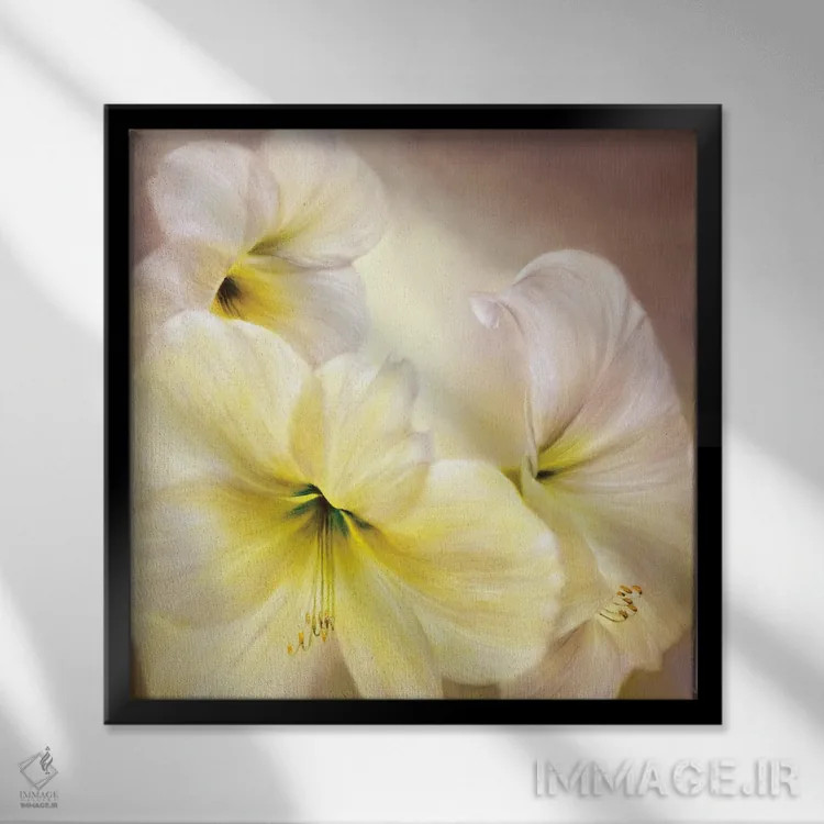 تابلو آمارلیس سفید اثر آنت شموکر - نمای قابدار مشکی