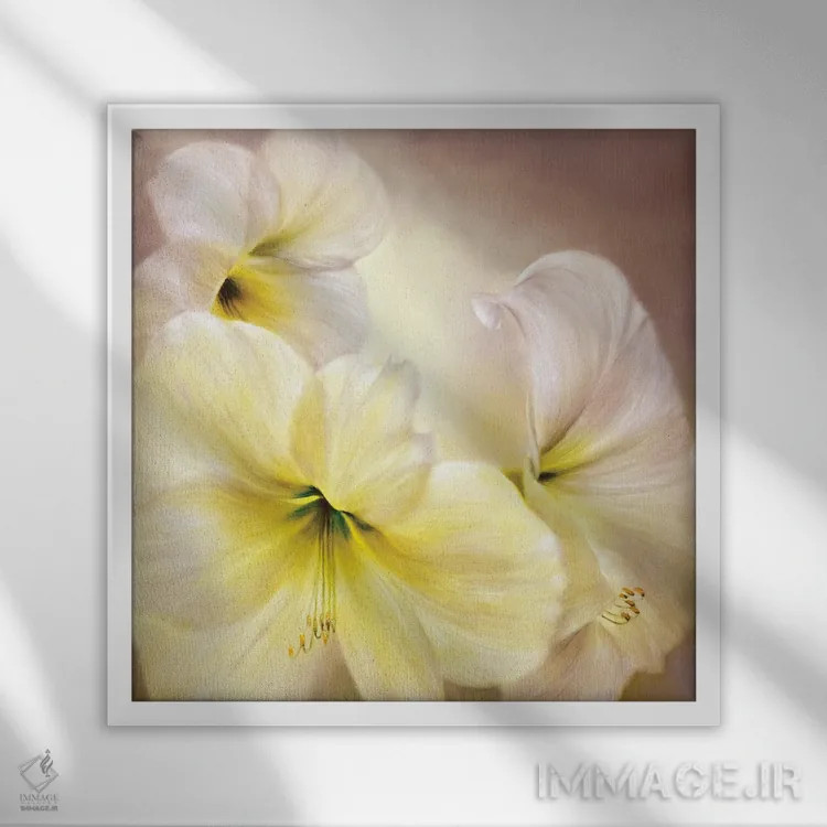 تابلو آمارلیس سفید اثر آنت شموکر - نمای قابدار سفید