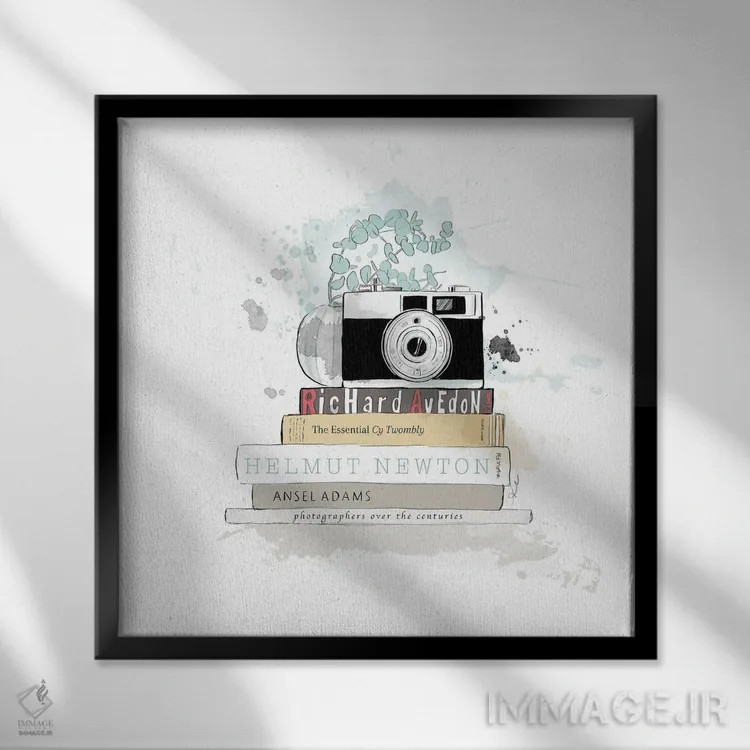 تابلو عکاس اثر آلیسون پِتری - نمای قابدار مشکی