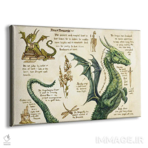 تابلو دراکو دراکونیس اثر آسترید شکلز - نمای پرسپکتیو محصول