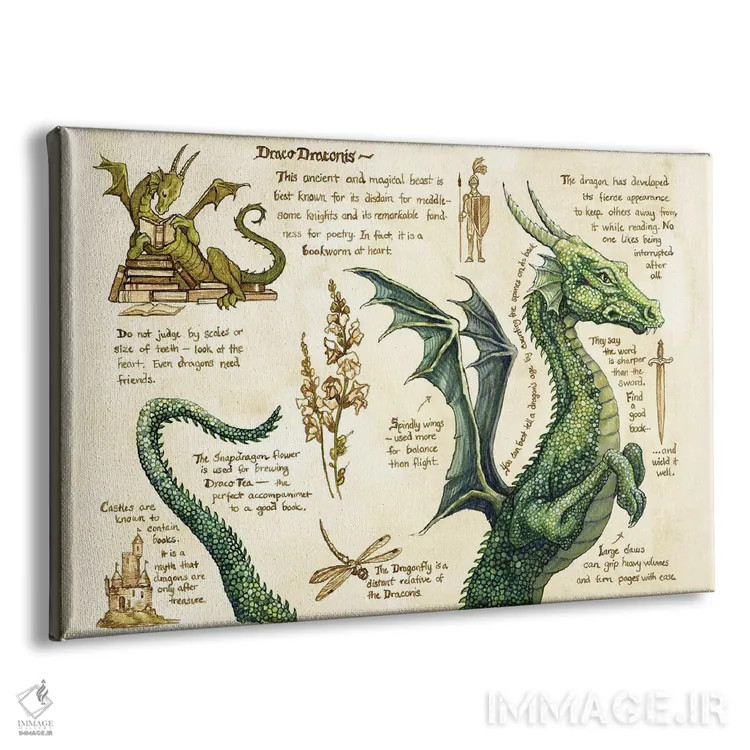 تابلو دراکو دراکونیس اثر آسترید شکلز - نمای پرسپکتیو محصول