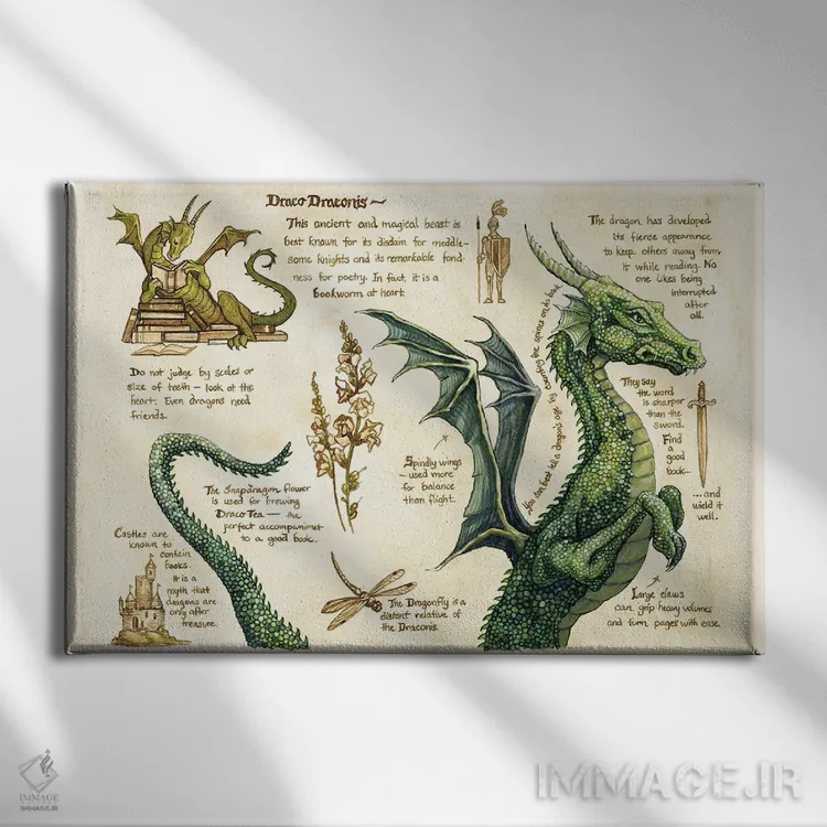 تابلو دراکو دراکونیس اثر آسترید شکلز - نمای روبهرو روی دیوار