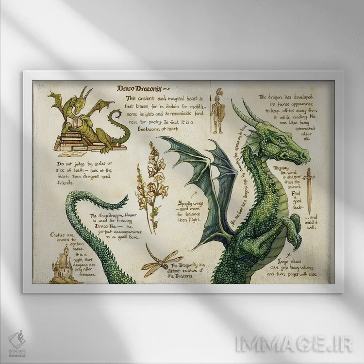 تابلو دراکو دراکونیس اثر آسترید شکلز - نمای قابدار سفید