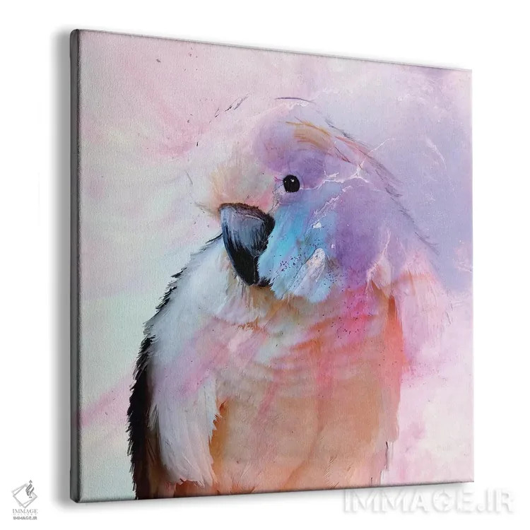 تابلو طوطی در حال سرخ شدن (یا طوطی صورتی) اثر آنتوانل - نمای پرسپکتیو محصول