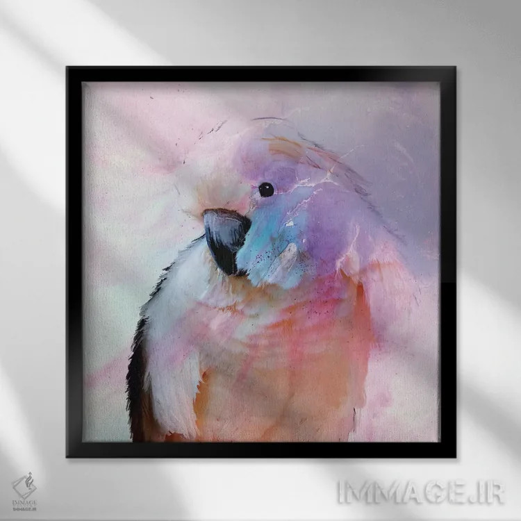 تابلو طوطی در حال سرخ شدن (یا طوطی صورتی) اثر آنتوانل - نمای قابدار مشکی