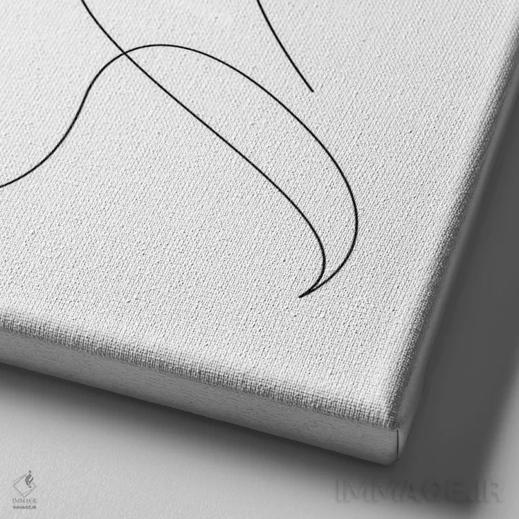 تابلو گربه تکخطی ۲ اثر ادیلوم - نمای نزدیک بافت بوم