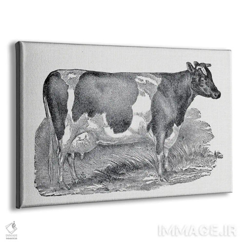 تابلو گاو شیری اثر امیلی وینتیج کو (برند/استودیو) - نمای پرسپکتیو محصول