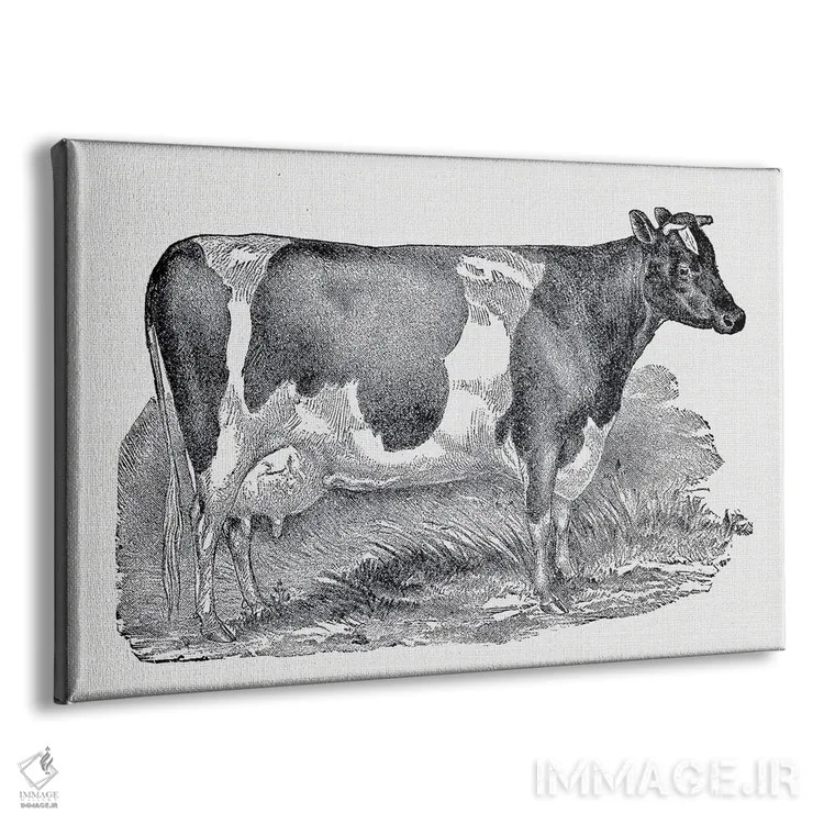 تابلو گاو شیری اثر امیلی وینتیج کو (برند/استودیو) - نمای پرسپکتیو محصول