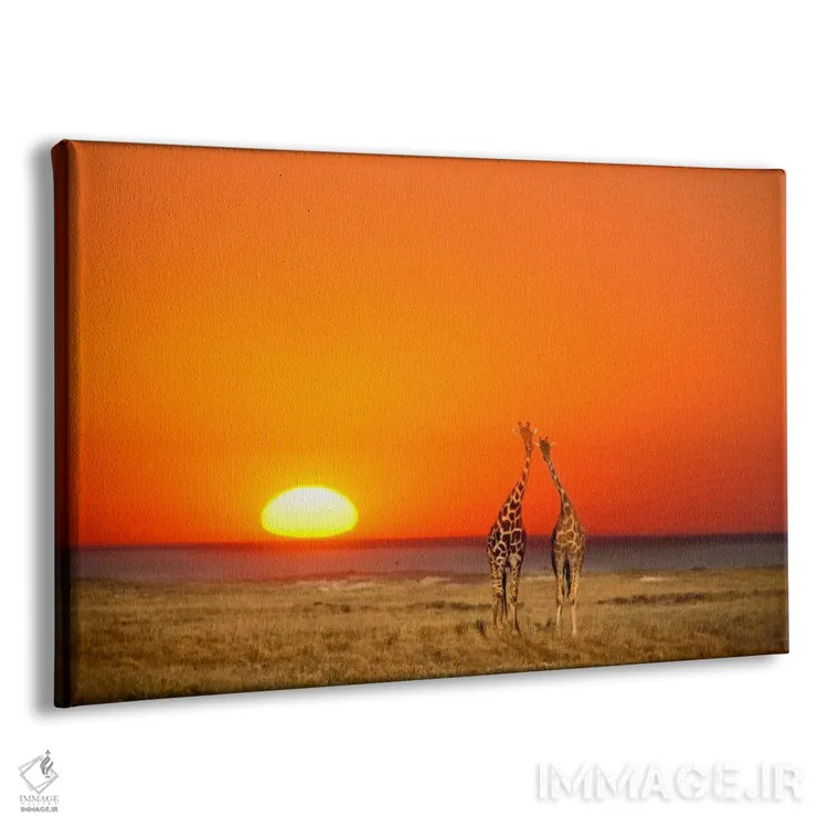 تابلو زوج زرافه، پارک ملی اتوشا، نامیبیا اثر جنیس میگلاوس - نمای پرسپکتیو محصول