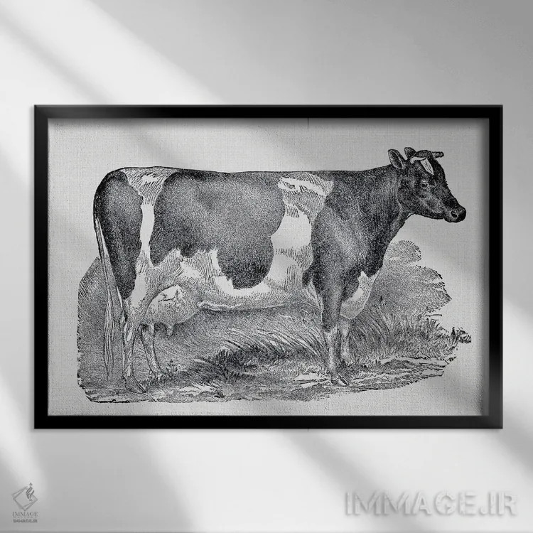 تابلو گاو شیری اثر امیلی وینتیج کو (برند/استودیو) - نمای قابدار مشکی