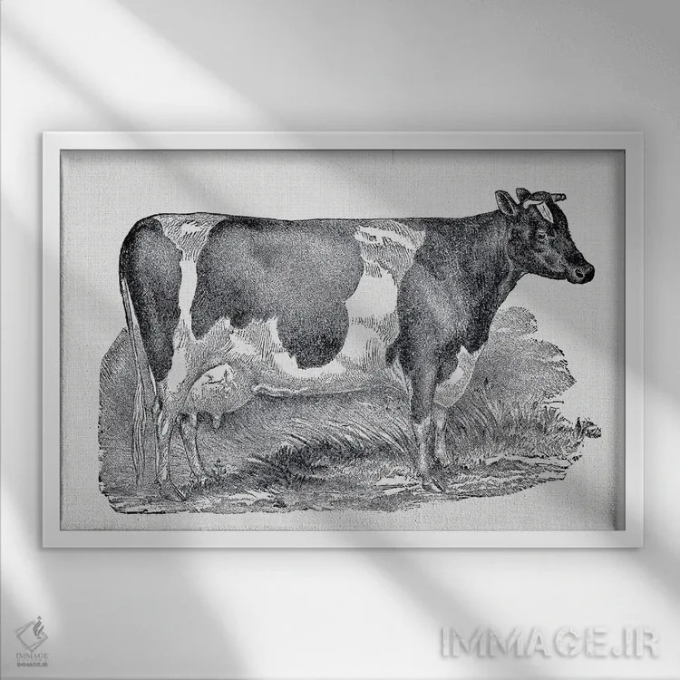 تابلو گاو شیری اثر امیلی وینتیج کو (برند/استودیو) - نمای قابدار سفید