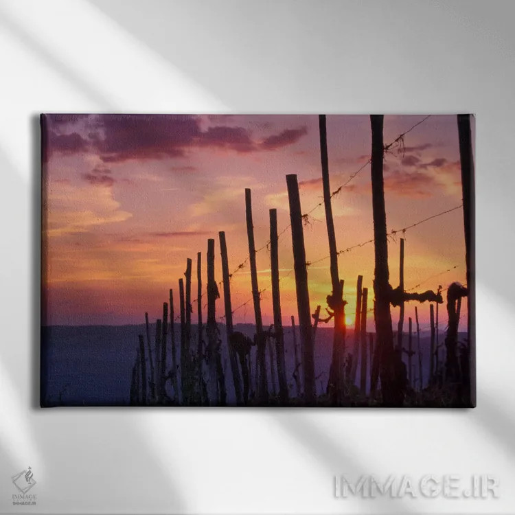 تابلو غروب روستا، منطقه توسکانی، ایتالیا اثر جنیس میگلاوس - نمای روبهرو روی دیوار