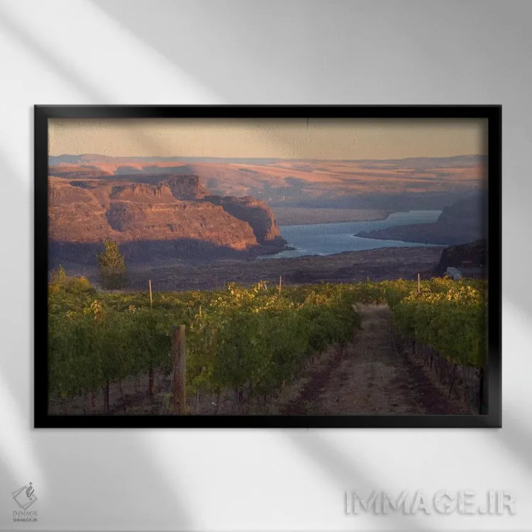 تابلو رودخانه کلمبیا با تاکستان Cave B در پیشزمینه، شهرستان گرانت، منطقه Columbia Valley AVA، واشینگتن، آمریکا اثر جنیس میگلاوس - نمای قابدار مشکی