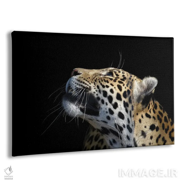 تابلو پلنگ آفریقایی اثر آدریان ویریو - نمای پرسپکتیو محصول