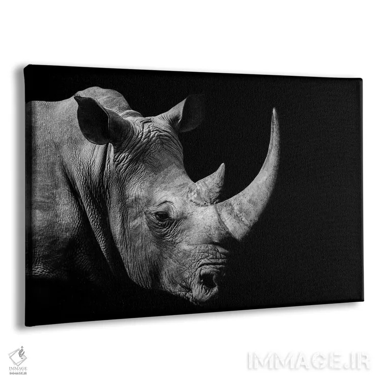 تابلو کرگدن آفریقایی (سیاه و سفید) اثر آدریان ویریو - نمای پرسپکتیو محصول