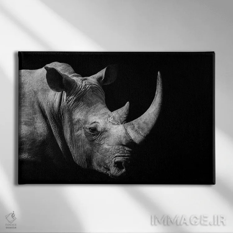 تابلو کرگدن آفریقایی (سیاه و سفید) اثر آدریان ویریو - نمای روبهرو روی دیوار