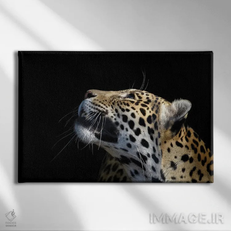 تابلو پلنگ آفریقایی اثر آدریان ویریو - نمای روبهرو روی دیوار