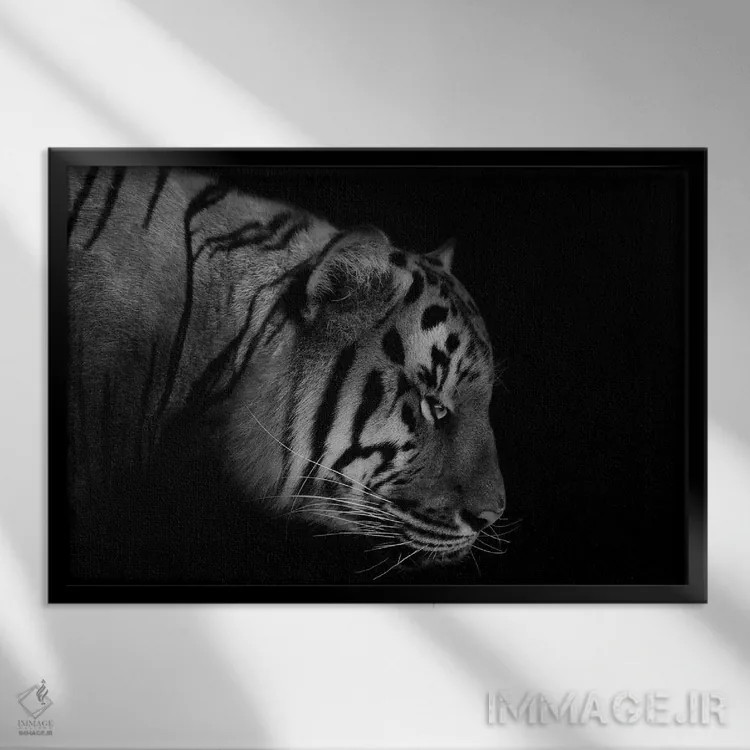 تابلو ببر (سیاه و سفید) اثر آدریان ویریو - نمای قابدار مشکی