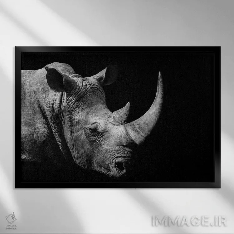 تابلو کرگدن آفریقایی (سیاه و سفید) اثر آدریان ویریو - نمای قابدار مشکی