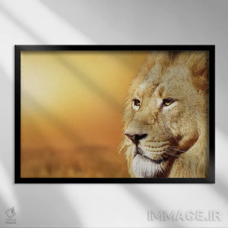 تابلو پرتره شیر نر آفریقایی اثر آدریان ویریو - نمای قابدار مشکی