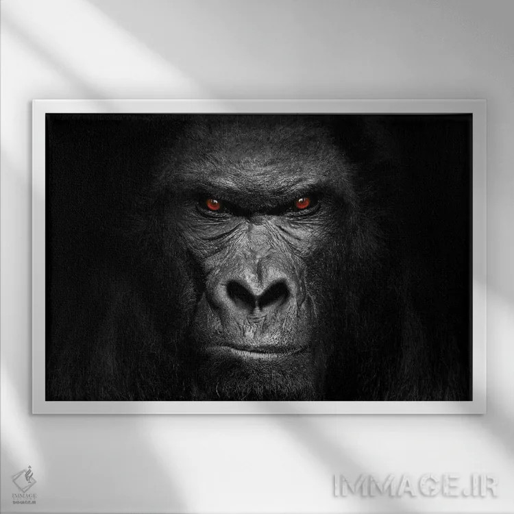 تابلو پرتره گوریل اثر آدریان ویریو - نمای قابدار سفید