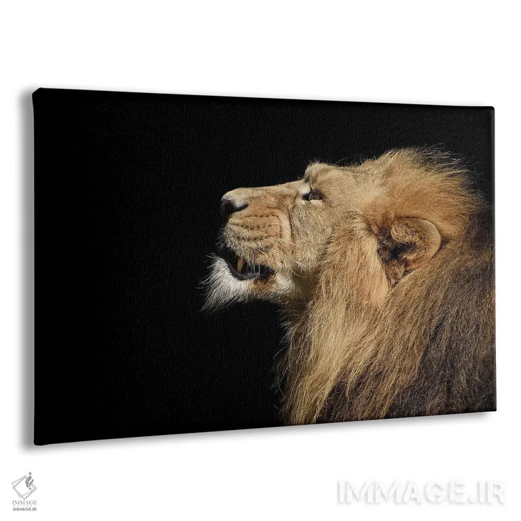 تابلو پرتره شیر اثر آدریان ویریو - نمای پرسپکتیو محصول