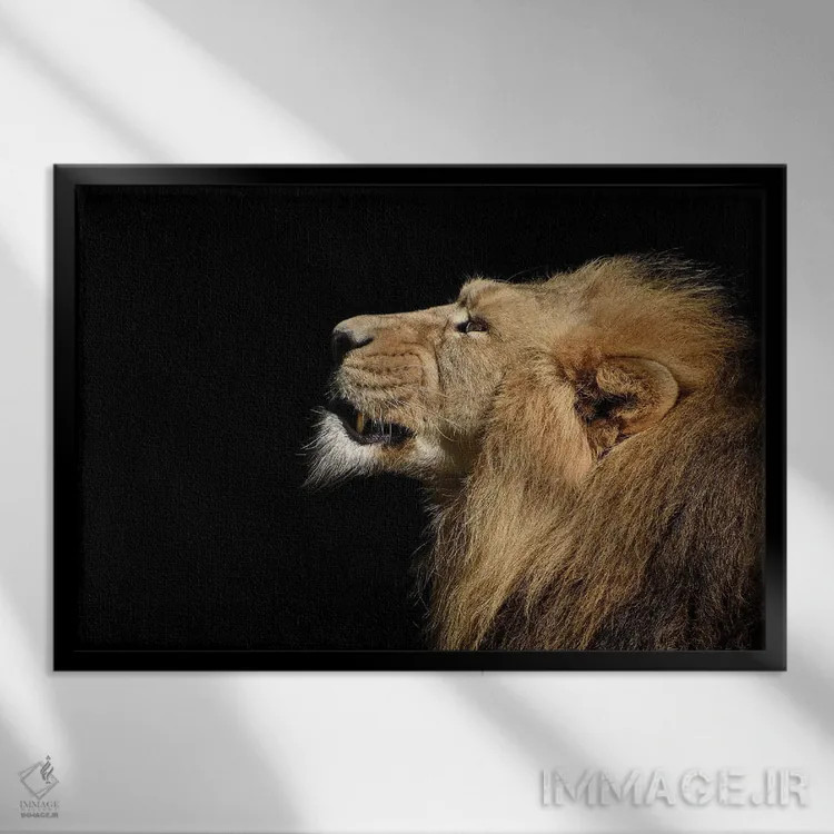 تابلو پرتره شیر اثر آدریان ویریو - نمای قابدار مشکی