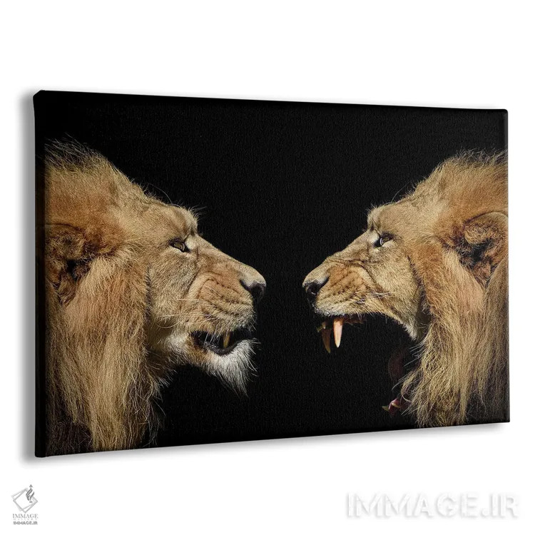 تابلو پرتره شیرها اثر آدریان ویریو - نمای پرسپکتیو محصول