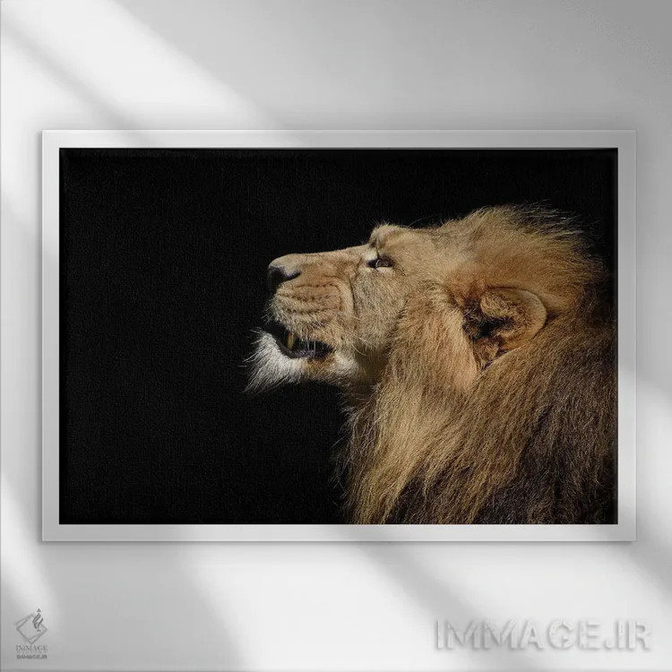 تابلو پرتره شیر اثر آدریان ویریو - نمای قابدار سفید