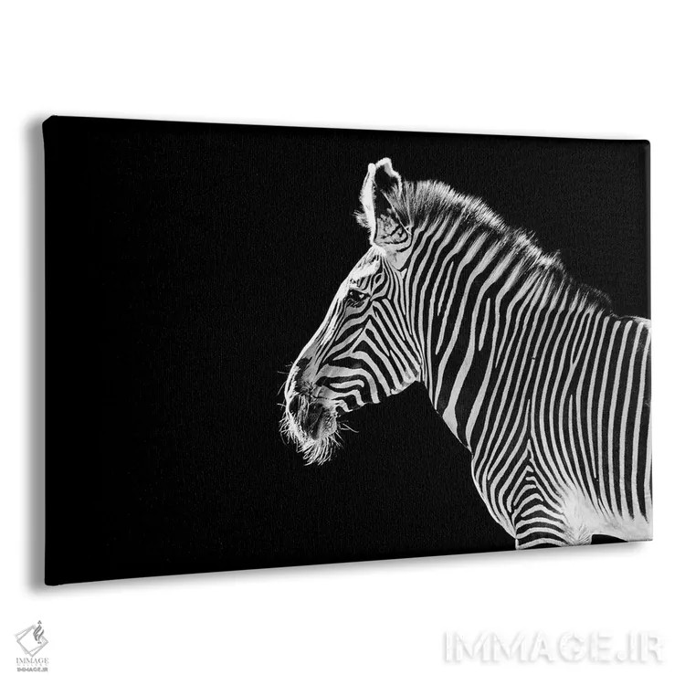 تابلو نمای نیمرخ گورخر روی پسزمینه سیاه اثر آدریان ویریو - نمای پرسپکتیو محصول