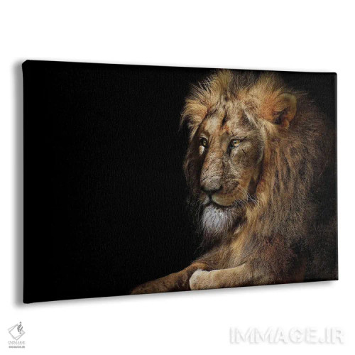 تابلو پرتره جداشده شیر اثر آدریان ویریو - نمای پرسپکتیو محصول