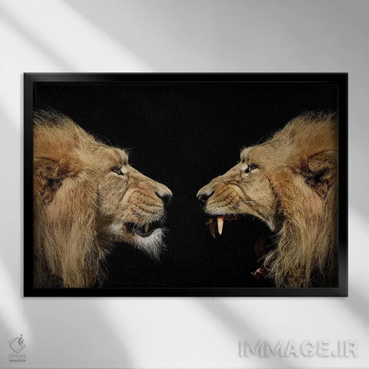 تابلو پرتره شیرها اثر آدریان ویریو - نمای قابدار مشکی