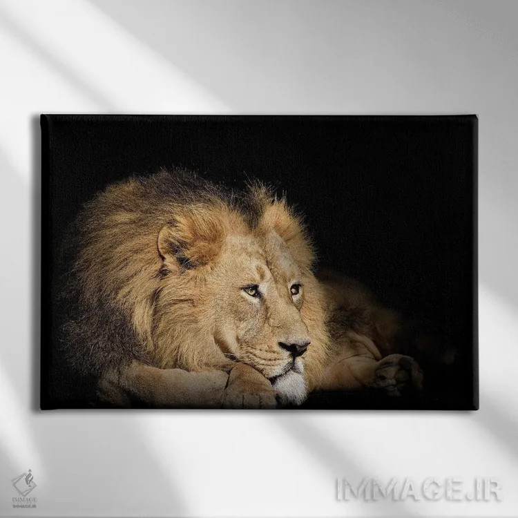 تابلو شیر استراحتکننده روی پسزمینه سیاه اثر آدریان ویریو - نمای روبهرو روی دیوار