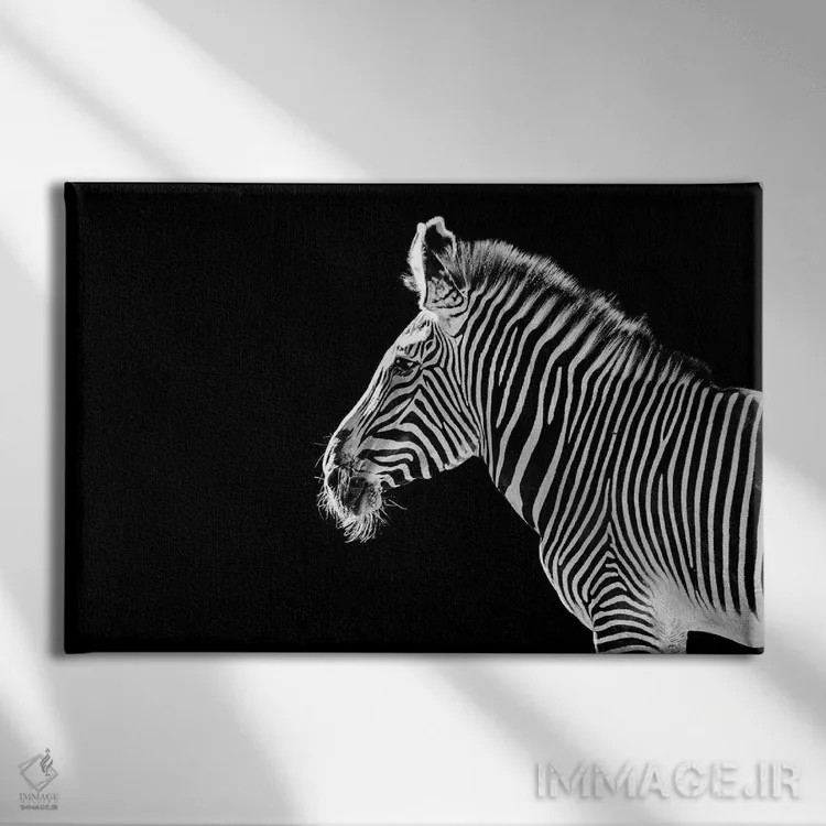 تابلو نمای نیمرخ گورخر روی پسزمینه سیاه اثر آدریان ویریو - نمای روبهرو روی دیوار