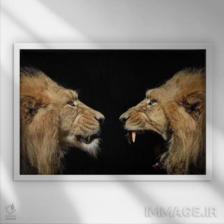 تابلو پرتره شیرها اثر آدریان ویریو - نمای قابدار سفید