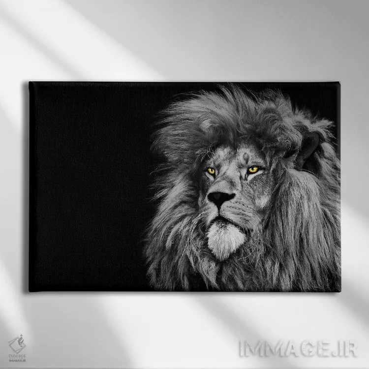 تابلو شیر در حال نگاه به بالا، سیاهوسفید اثر آدریان ویریو - نمای روبهرو روی دیوار