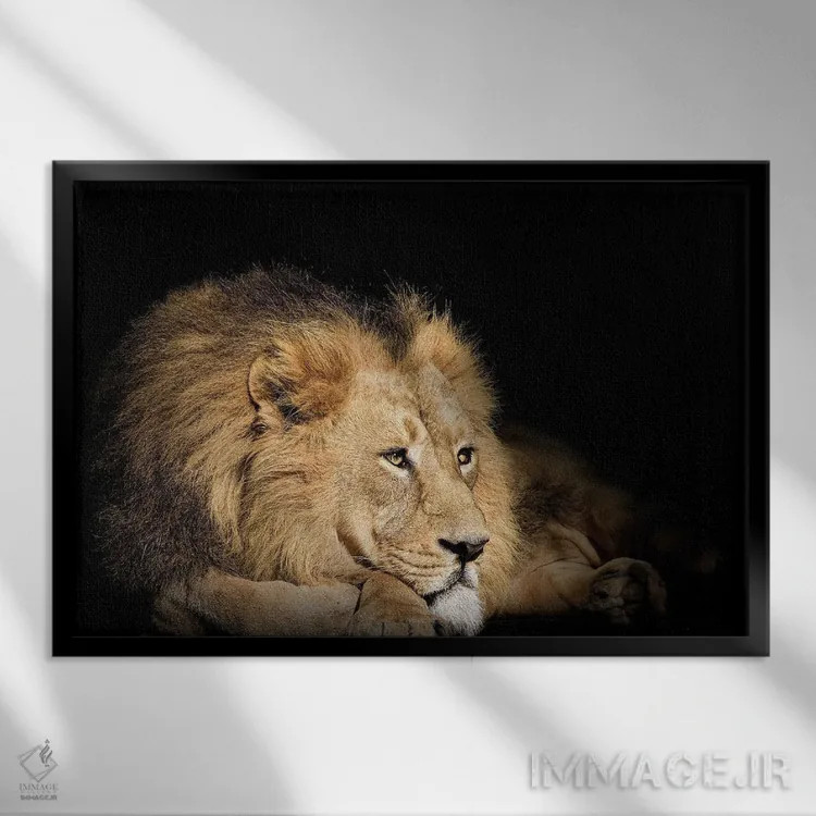 تابلو شیر استراحتکننده روی پسزمینه سیاه اثر آدریان ویریو - نمای قابدار مشکی