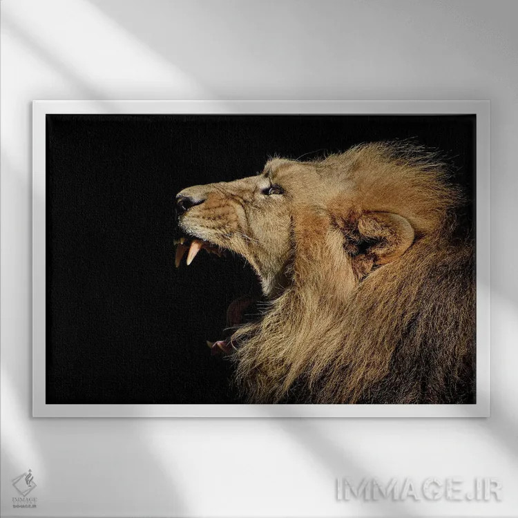 تابلو پرتره غرش شیر اثر آدریان ویریو - نمای قابدار سفید