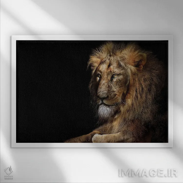 تابلو پرتره جداشده شیر اثر آدریان ویریو - نمای قابدار سفید