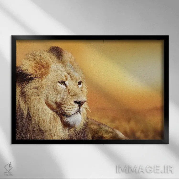 تابلو پرتره شیر نر آفریقایی اثر آدریان ویریو - نمای قابدار مشکی